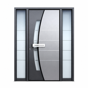 Modern Aluminum Security Entry Door System