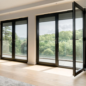 Double Swing Casement Door Crittal Aluminum French Design