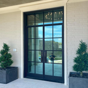 European Standard Iron Doors Interior Aluminium Steel Framed Swing Glass Door Crittall Style Wrought Iron Entrance French Doors