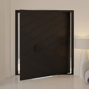Custom Aluminum Pivot Door