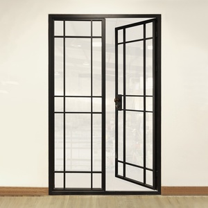 Metal Glass Doors Internal Crittall Door Room Divider Interior Steel Fixed Or Casement Glass Wall Solid Kitchen Glass Door