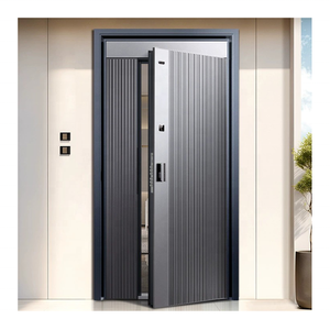 Modern Commercial Double-Layer Aluminium Swing Entrance Door