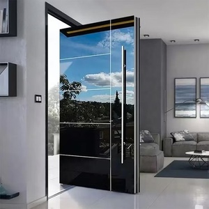 Hurricane-Proof Aluminum & Steel Pivot Door
