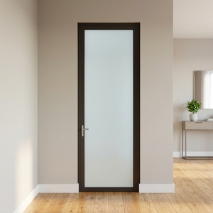 Modern Single-pane Swing Door with Internal Aluminum Alloy Frame
